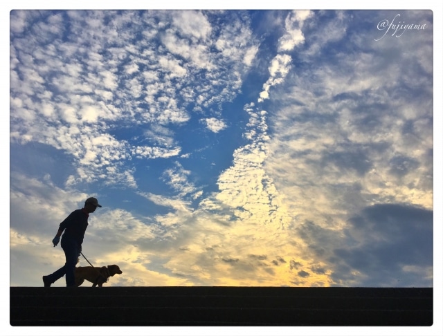 老人と犬